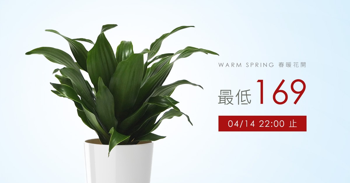 2Ustyle 風格圖悠 盆栽 植物 花器