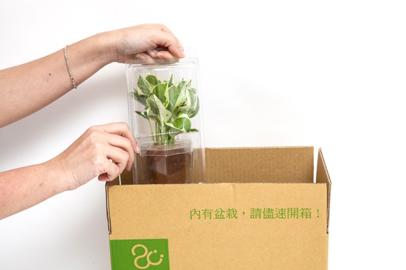 2Ustyle首創植栽遞送專用外箱