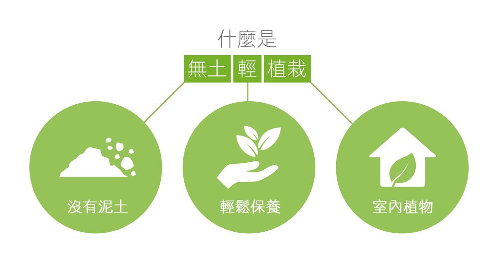 2Ustyle 風格圖悠 無土輕植栽 沒有泥土 輕鬆保養 室內植物 無土植物 好照顧植物 好養植物 易植棉