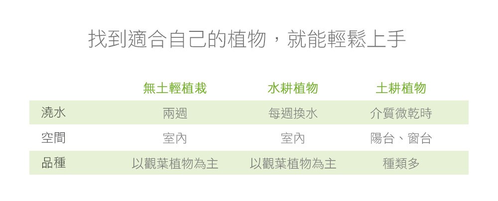 2Ustyle 風格圖悠 兩週澆水 室內空間 觀葉植物