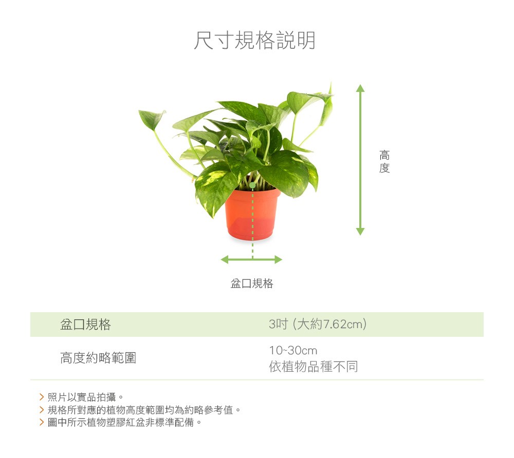 2Ustyle 風格圖悠 盆栽 植物 花盆器 土耕 觀葉