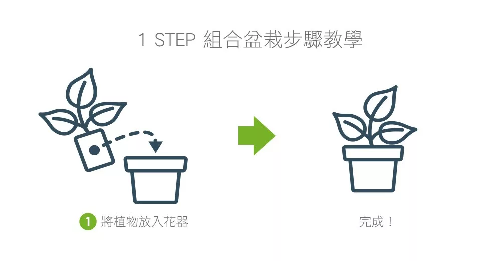 2Ustyle 風格圖悠 盆栽 植物 花器 組合盆栽步驟教學 1step