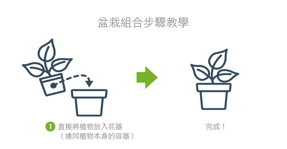 2Ustyle 風格圖悠 盆栽 植物 花器 組合盆栽步驟教學 套盆 1step