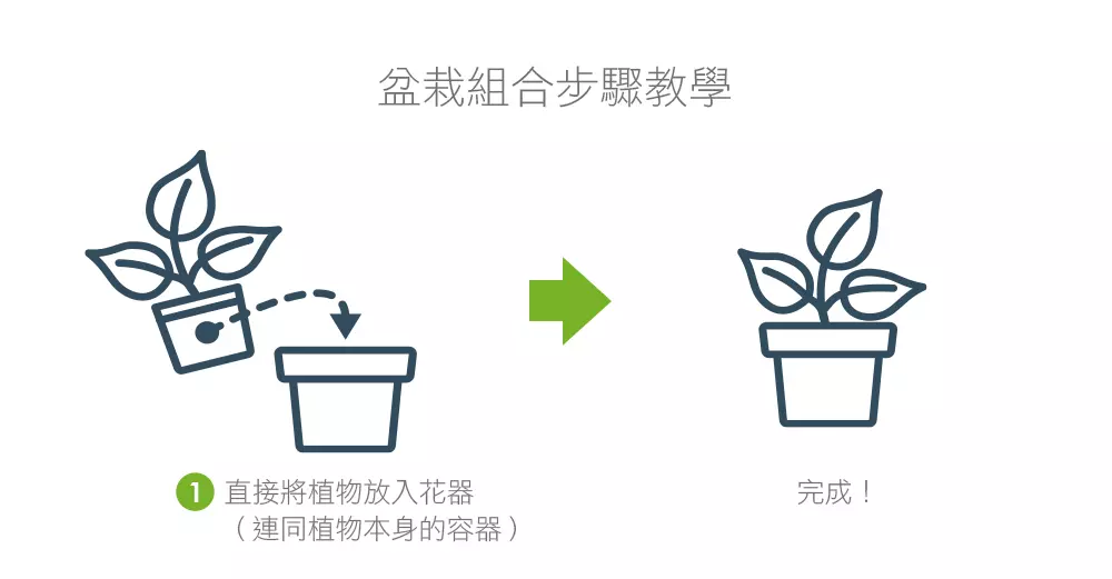 2Ustyle 風格圖悠 盆栽 植物 花器 組合盆栽步驟教學 套盆 1step