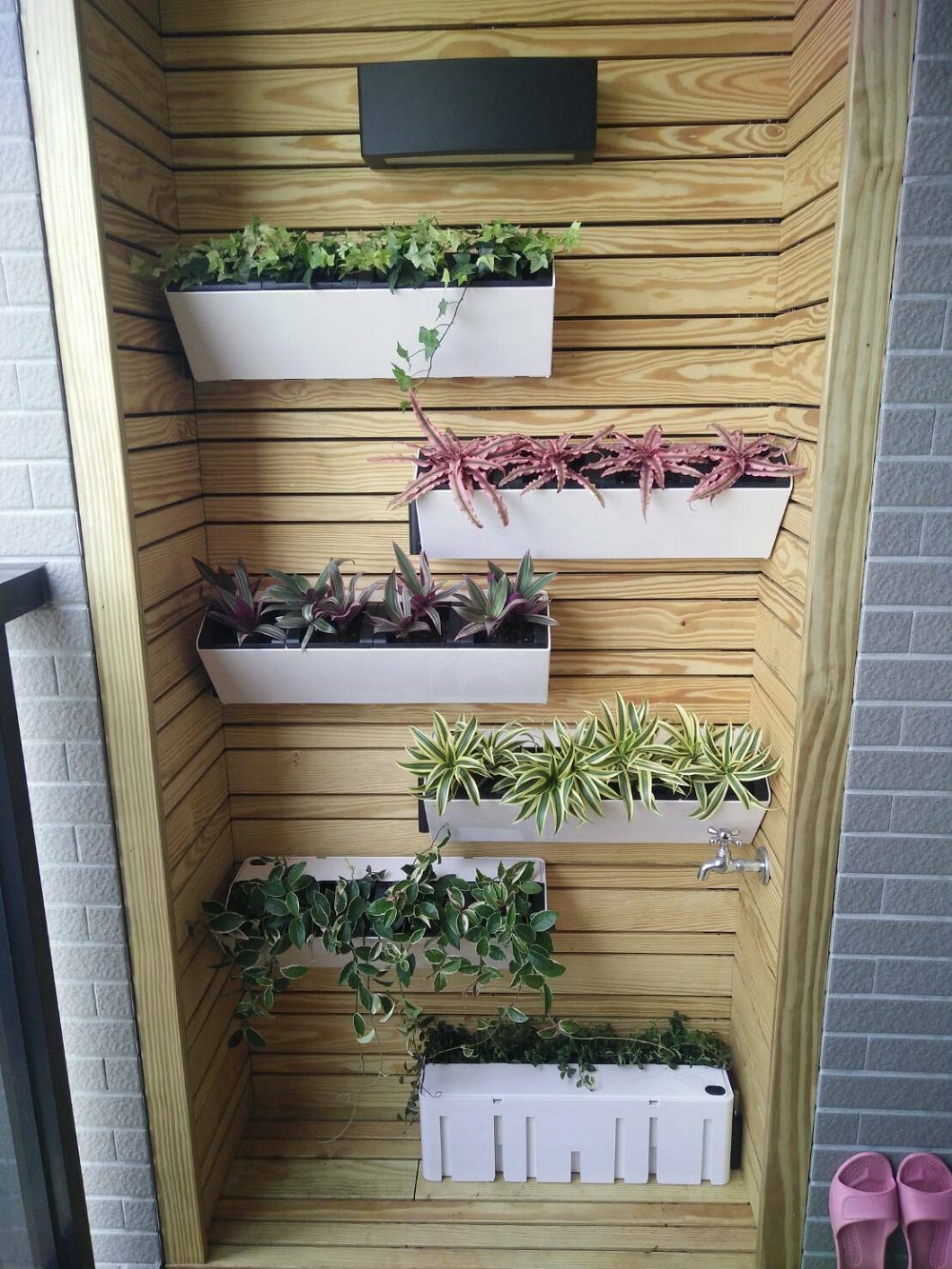 2Ustyle 風格圖悠 綠牆 植生牆 家庭綠化 壁盆 植栽 盆栽