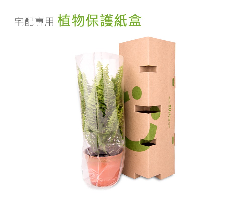 2Ustyle 風格圖悠 植物保護紙盒