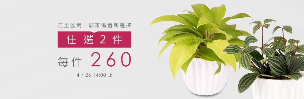 2Ustyle 風格圖悠 盆栽 花器 植物