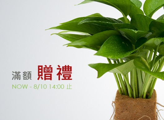 2Ustyle 風格圖悠 盆栽 植物 花器