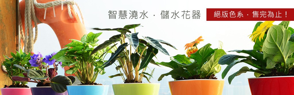 2Ustyle 風格圖悠 盆栽 植物 花器
