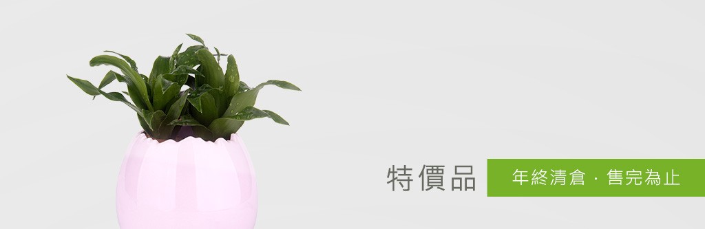 2Ustyle 風格圖悠 盆栽 植物 花器