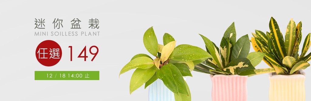 2Ustyle 風格圖悠 盆栽 植物 花器