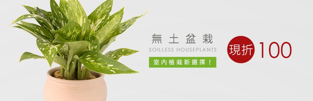 2Ustyle 風格圖悠 盆栽 植物 花器