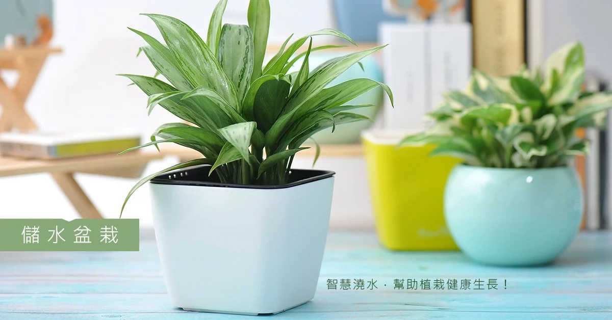 2Ustyle 風格圖悠 盆栽 植物 花器